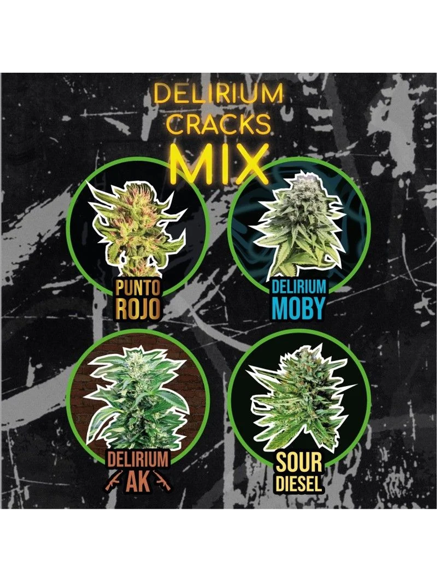 Mix Delirium Cracks Fem -Delirium Seeds (X14/X8/X4) 2