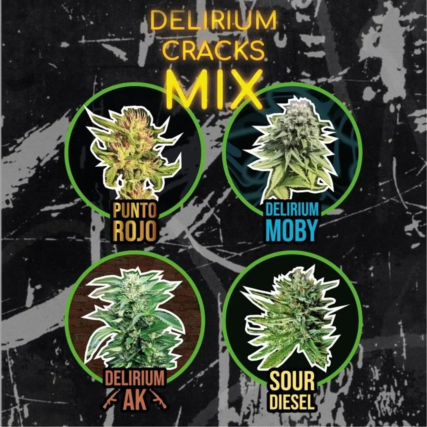 Mix Delirium Cracks Fem -Delirium Seeds (X14/X8/X4) 2