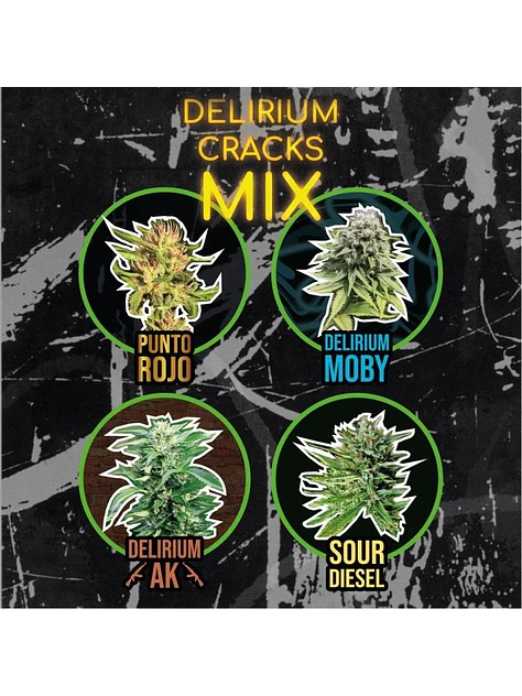 Mix Delirium Cracks Fem -Delirium Seeds (X14/X8/X4) 3