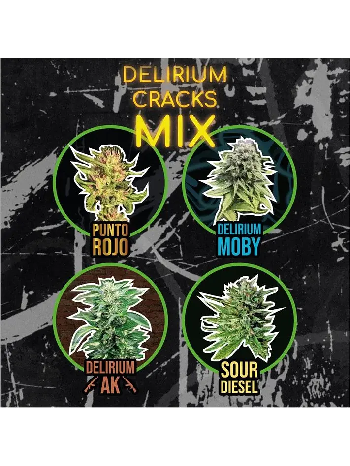 Mix Delirium Cracks Fem -Delirium Seeds (X14/X8/X4) 3