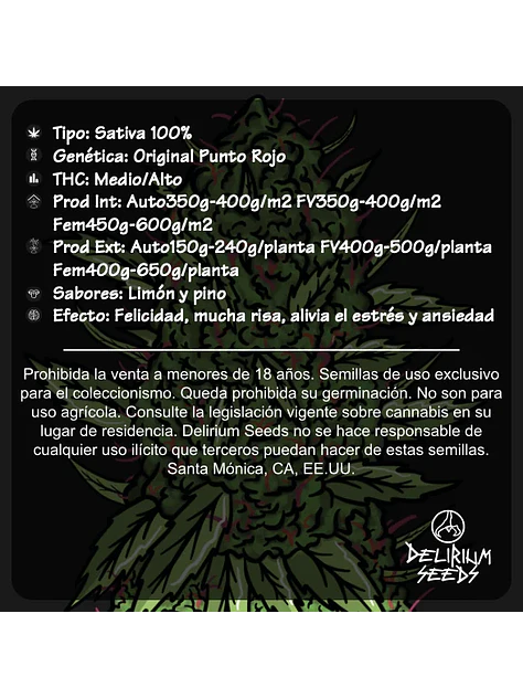 Punto Rojo Fast Version -Delirium Seeds (X100/X4/X2/X1) 3