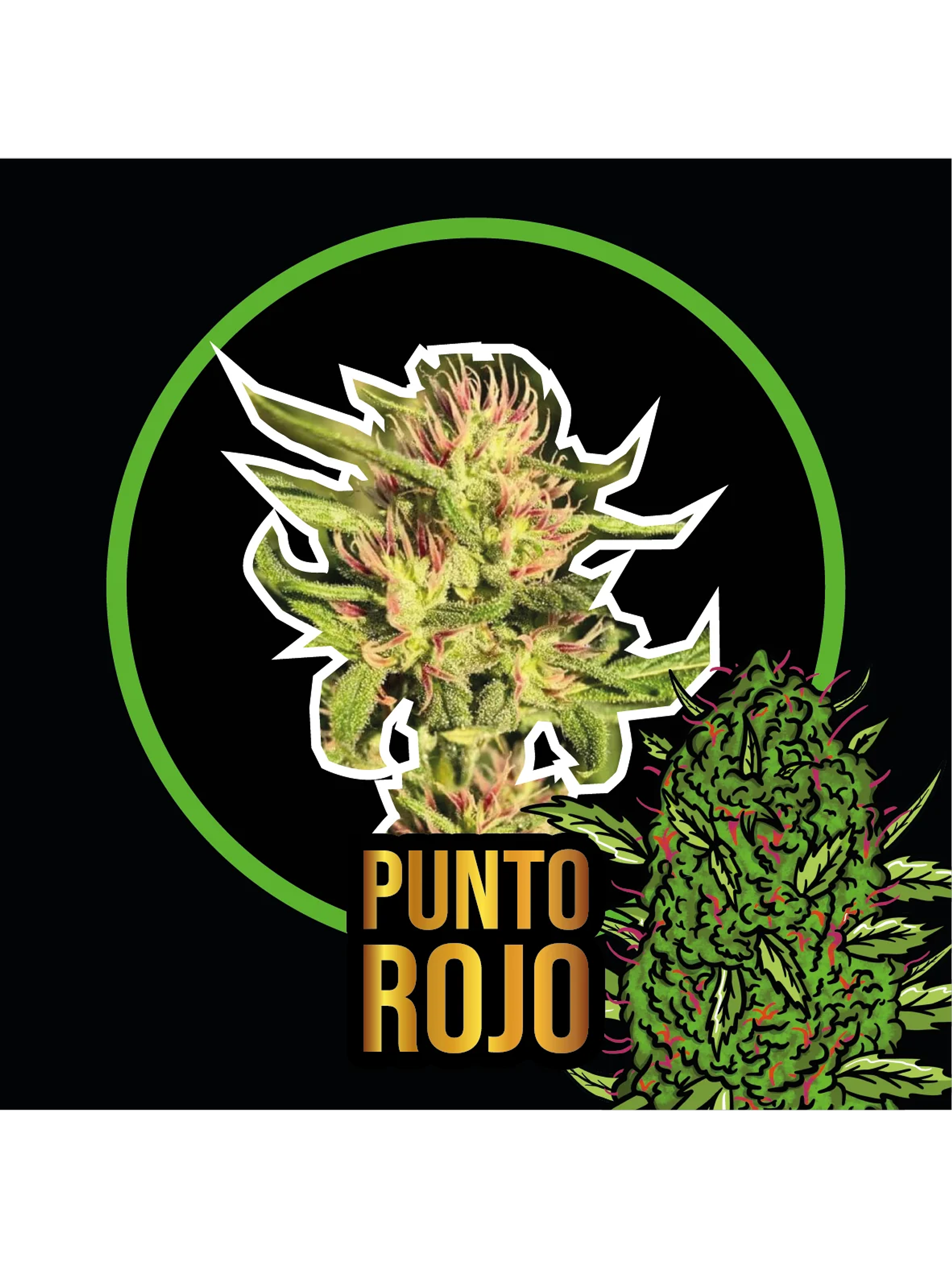Punto Rojo Fast Version -Delirium Seeds (X100/X4/X2/X1) 8