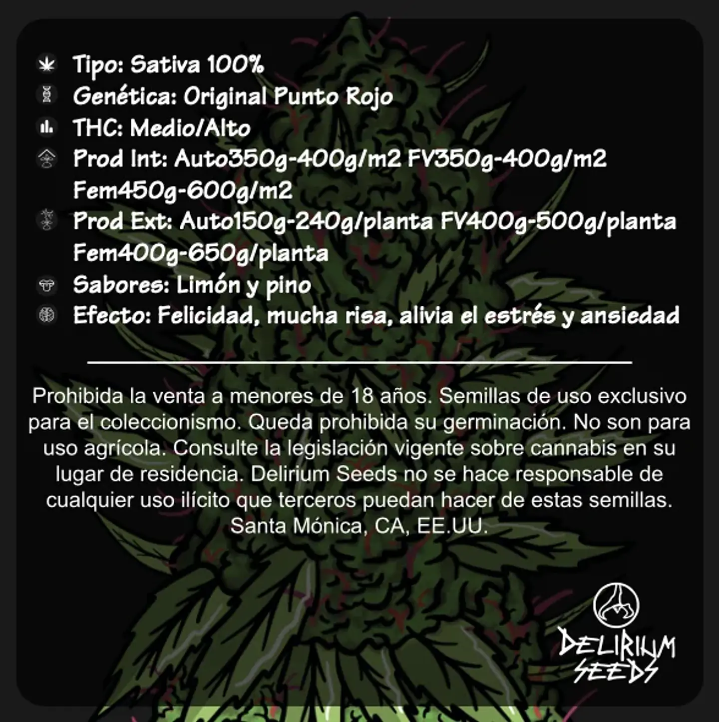 Punto Rojo Fast Version -Delirium Seeds (X100/X4/X2/X1) 4