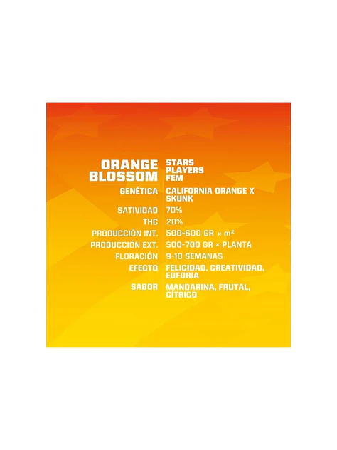 Orange Blossom Fem -Bsf (X12/X4/X2) 2