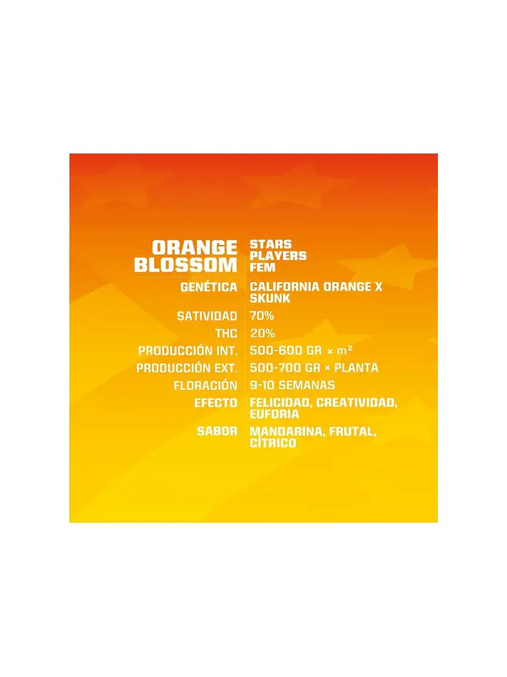 Orange Blossom Fem -Bsf (X12/X4/X2) 2
