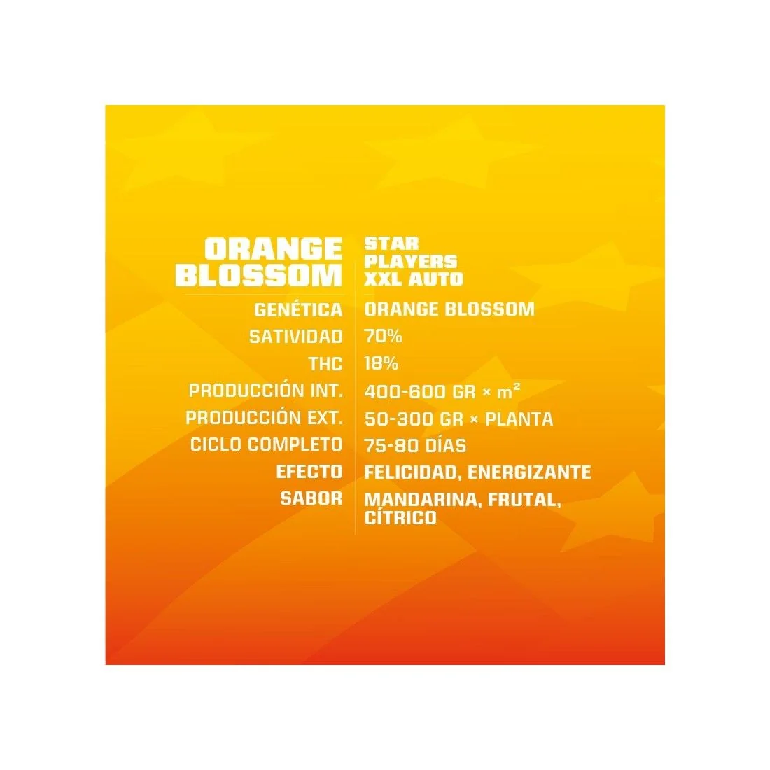 Orange Blossom Xxl Auto -Bsf (X12/X7/X4/X2) 5