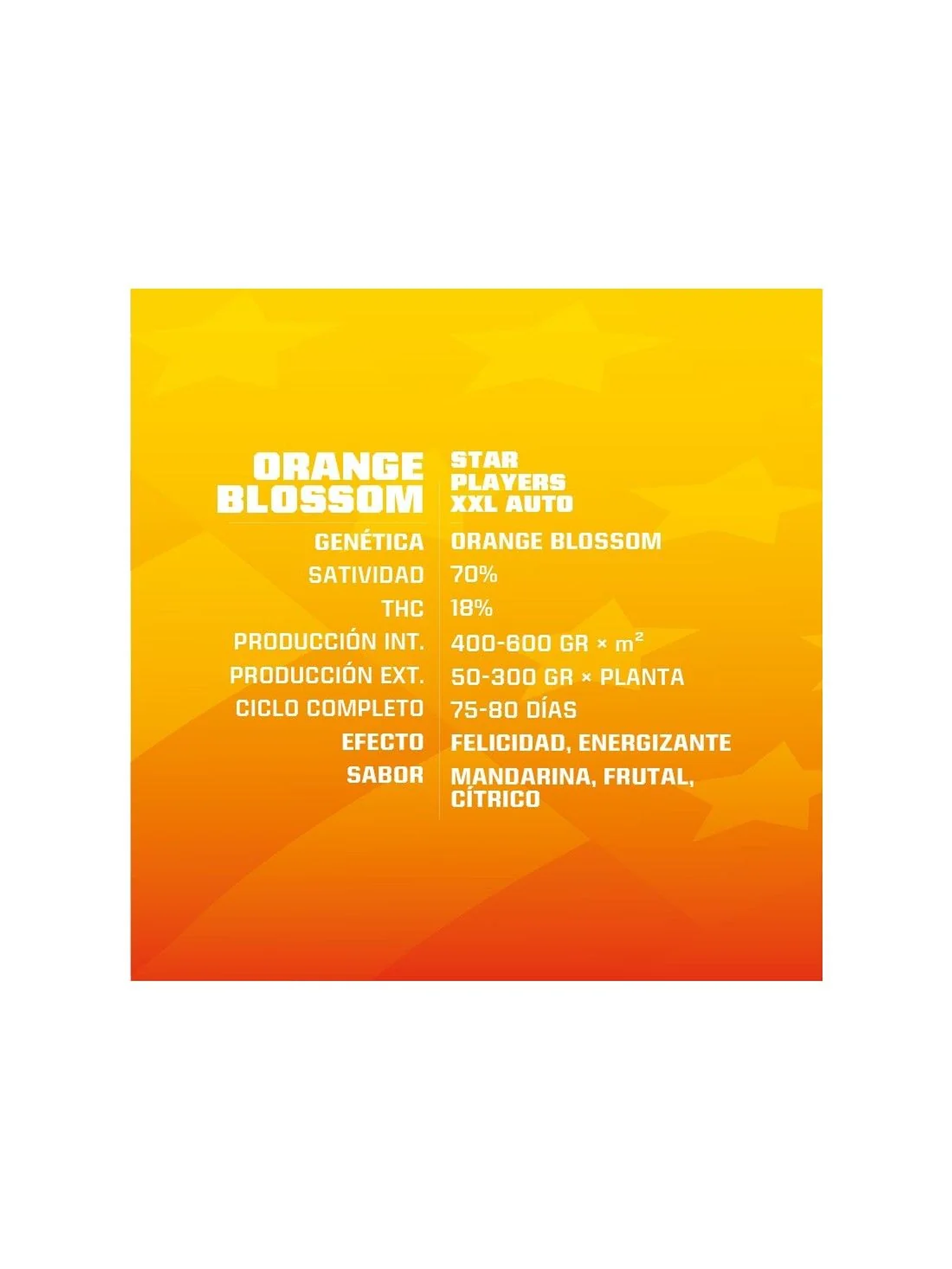 Orange Blossom Xxl Auto -Bsf (X12/X7/X4/X2) 5