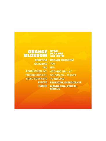 Orange Blossom Xxl Auto X12-Bsf 5