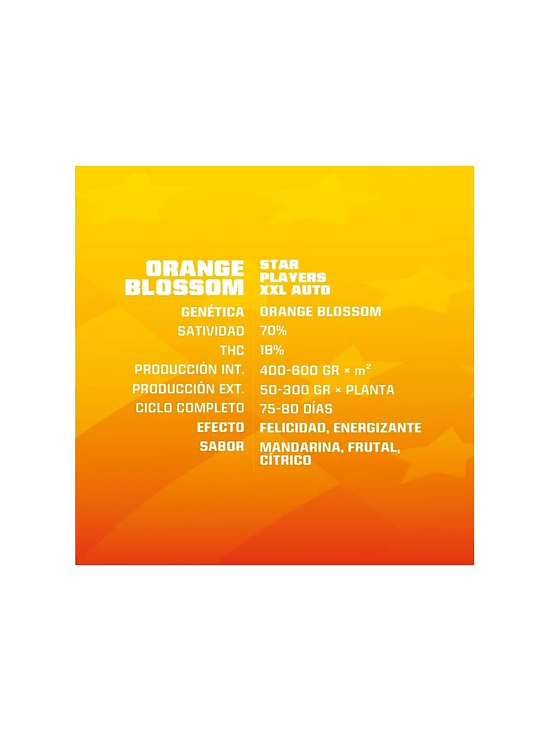 Orange Blossom Xxl Auto X12-Bsf 5