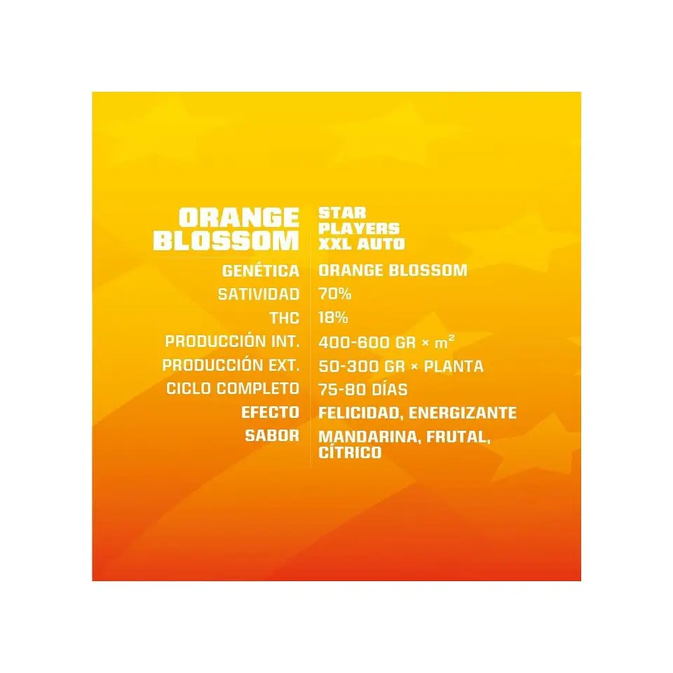 Orange Blossom Xxl Auto -Bsf (X12/X7/X4/X2) 5