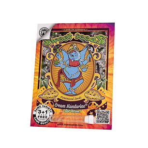 Cream Mandarine F1 Fem X100-Sweet Seeds