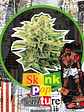Skunk Pop Culture Auto X4-Delirium Seeds - Miniatura 6