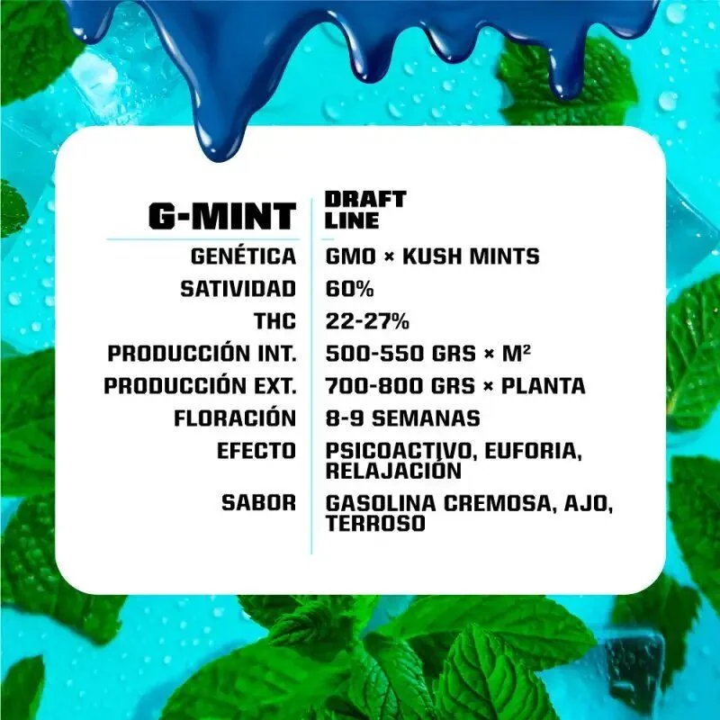 G-Mint Fem -Bsf (X12/X7/X4/X2) 5