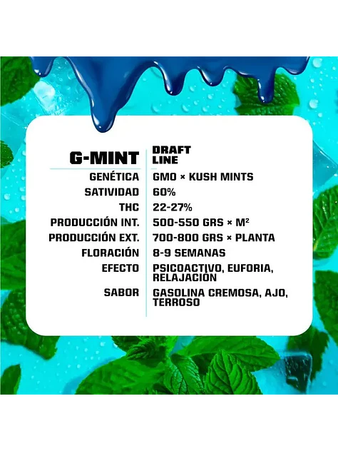G-Mint Fem -Bsf (X12/X7/X4/X2) 5