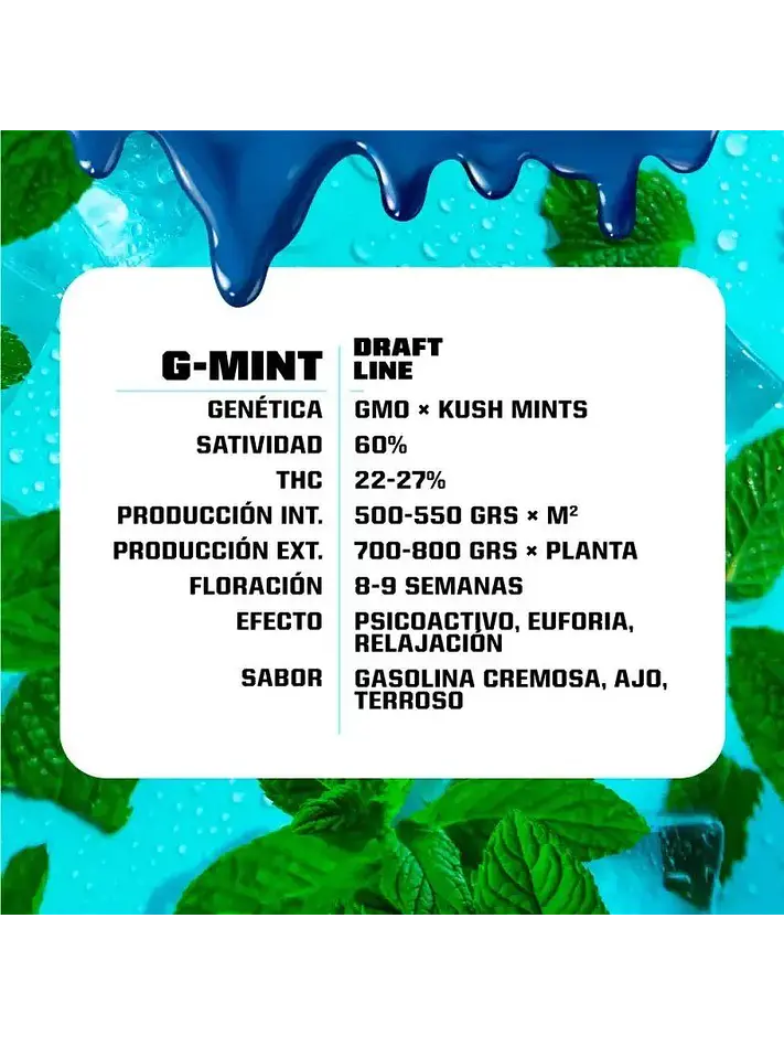 G-Mint Fem -Bsf (X12/X7/X4/X2) 5