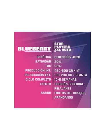 Blue Berry Auto  X12-Bsf 6