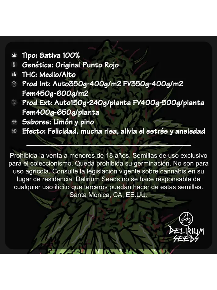Punto Rojo Auto -Delirium Seeds (X12/X4/X2/X1) 4