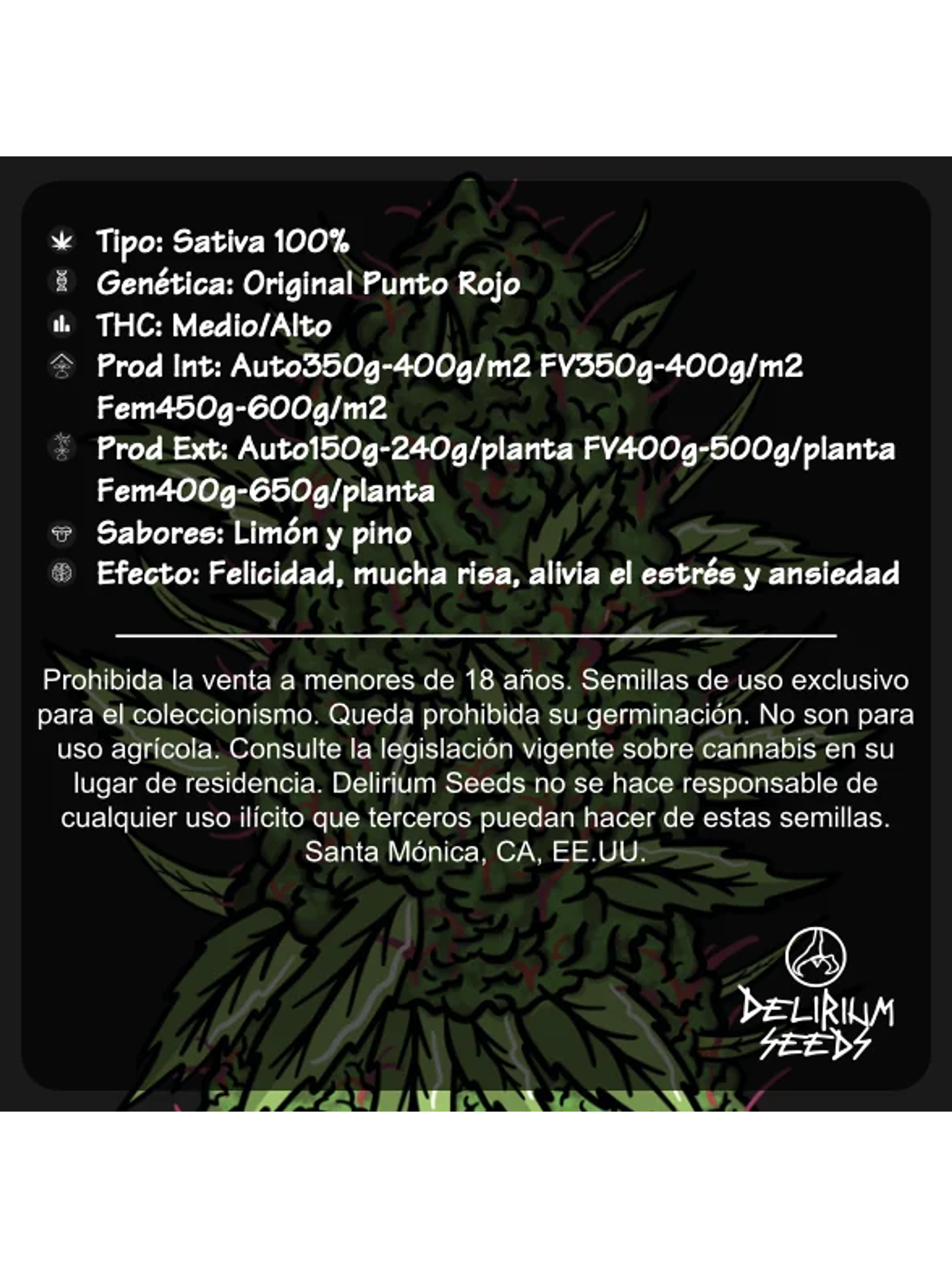 Punto Rojo Auto -Delirium Seeds (X12/X4/X2/X1) 5