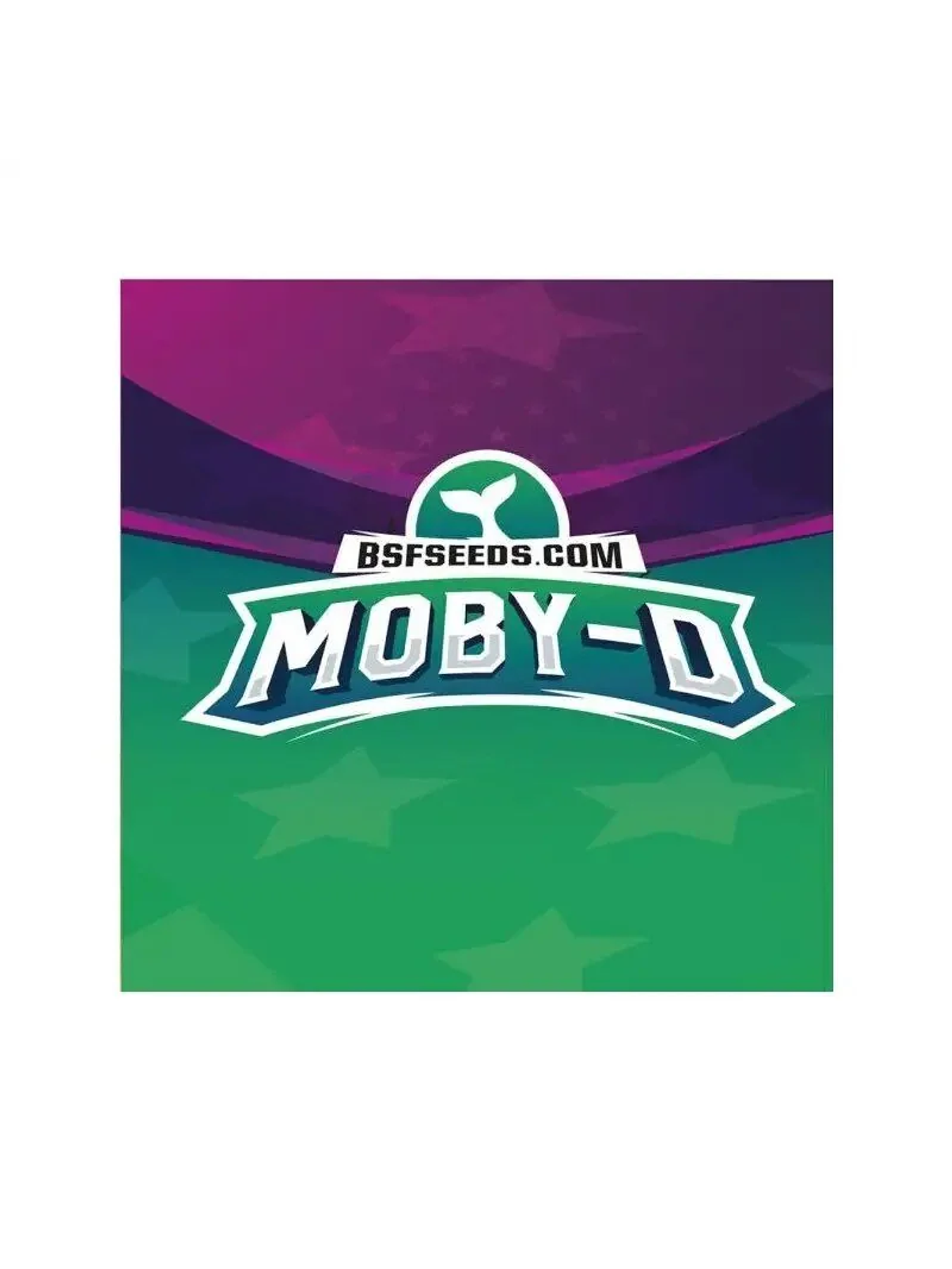 Moby-D Fem -Bsf (X12/X4/X2) 8