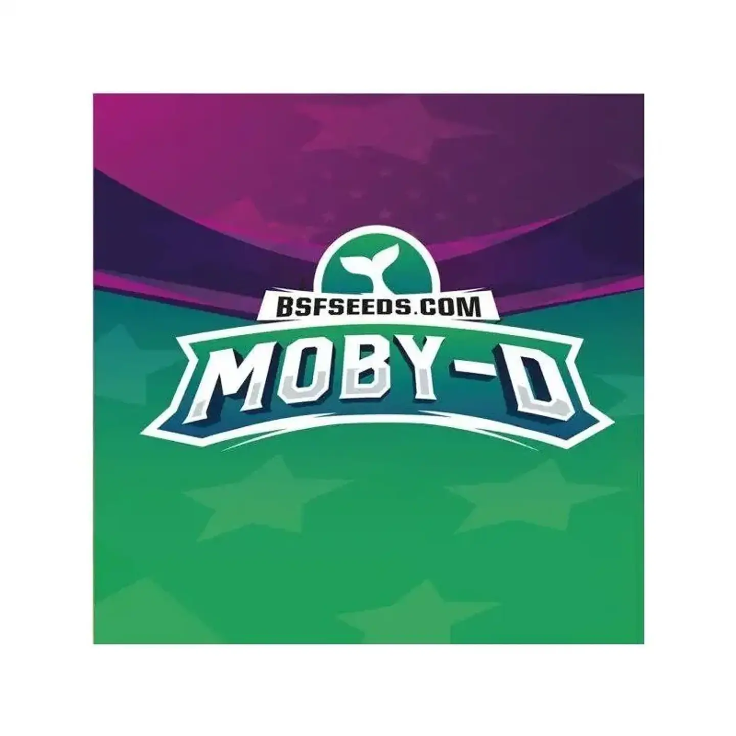 Moby-D Fem -Bsf (X12/X4/X2) 8