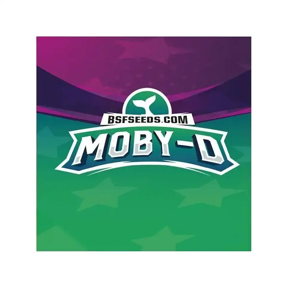 Moby-D Fem -Bsf (X12/X4/X2) 8