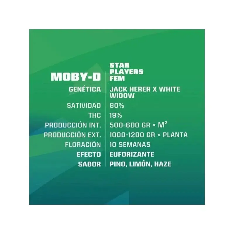 Moby-D Fem -Bsf (X12/X4/X2) 9