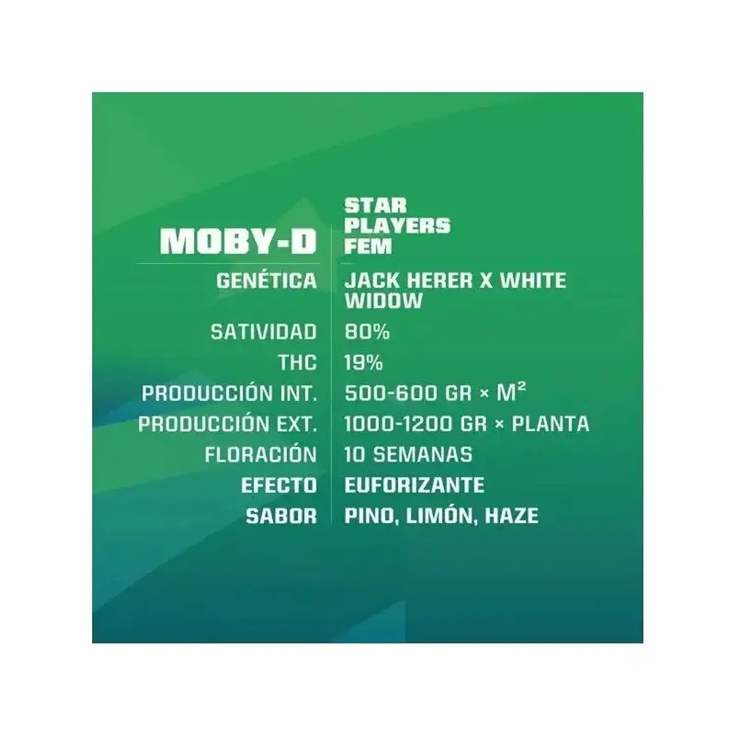 Moby-D Fem -Bsf (X12/X4/X2) 9