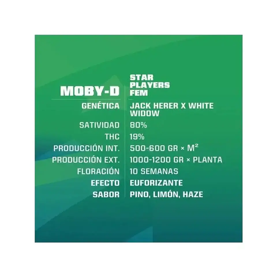 Moby-D Fem -Bsf (X12/X4/X2) 9
