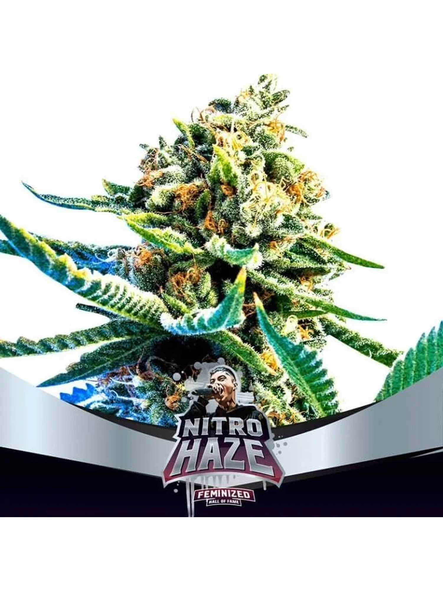 Nitro Haze Fem X7-Bsf 4