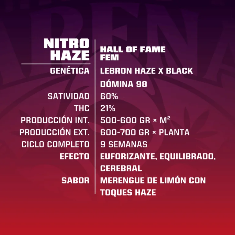 Nitro Haze Fem X7-Bsf 5
