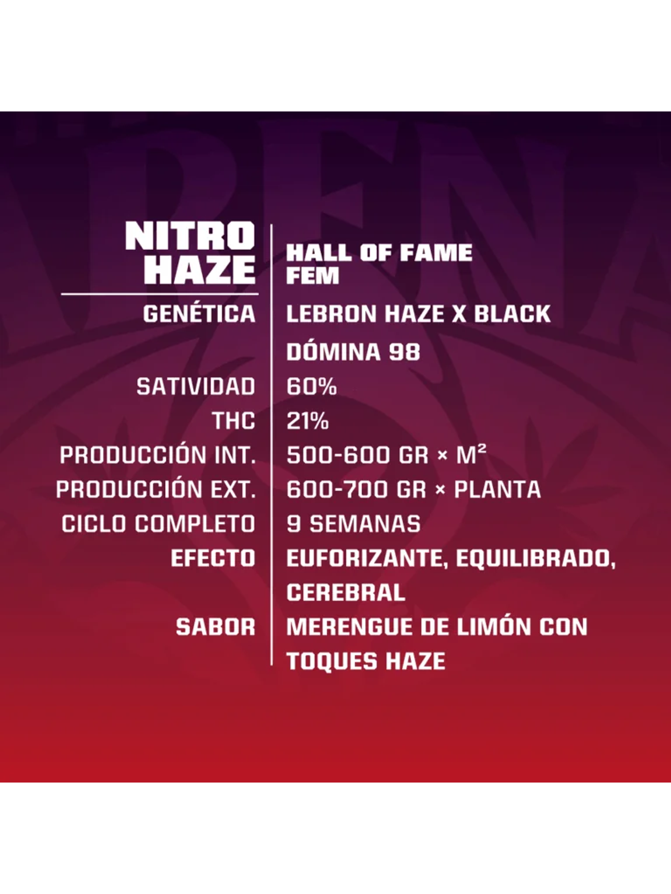 Nitro Haze Fem X7-Bsf 5