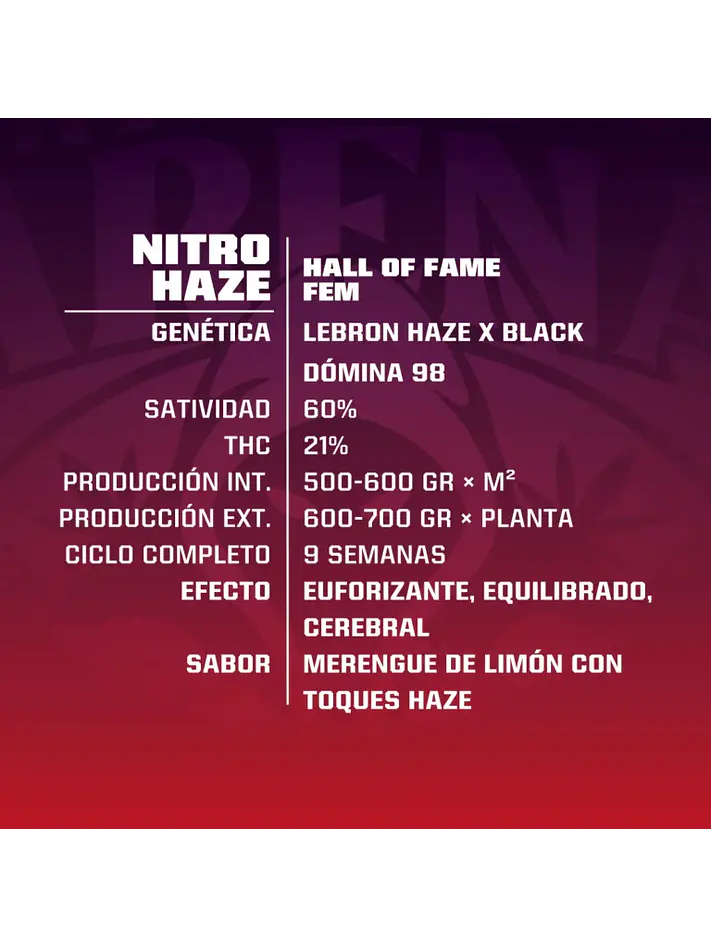 Nitro Haze Fem X7-Bsf 5