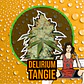 Delirium Tangi Fem -Delirium Seeds (X2/X1) - Miniatura 3