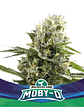 Moby-D Xxl Auto X12-Bsf - Miniatura 7