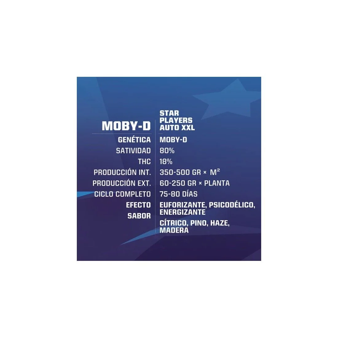 Moby-D Xxl Auto -Bsf (X12/X4/X2) 6