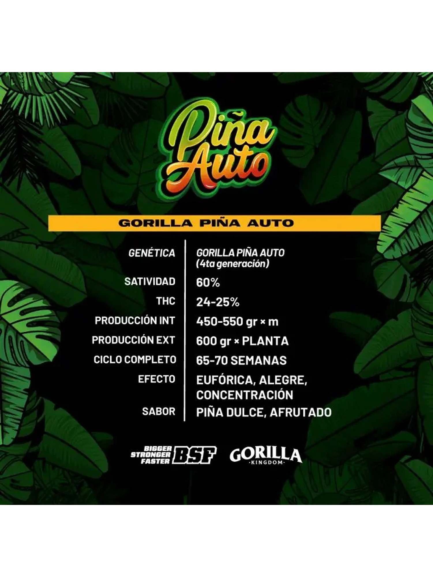 Gorilla Piña Auto -Bsf (X4/X2) 3