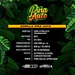 Gorilla Piña Auto -Bsf (X4/X2) - Miniatura 3