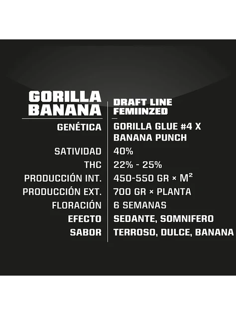 Gorilla Banana Fem -Bsf (X7/X4/X2)  3
