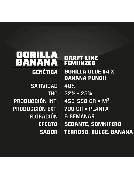 Gorilla Banana Fem -Bsf (X7/X4/X2) 3