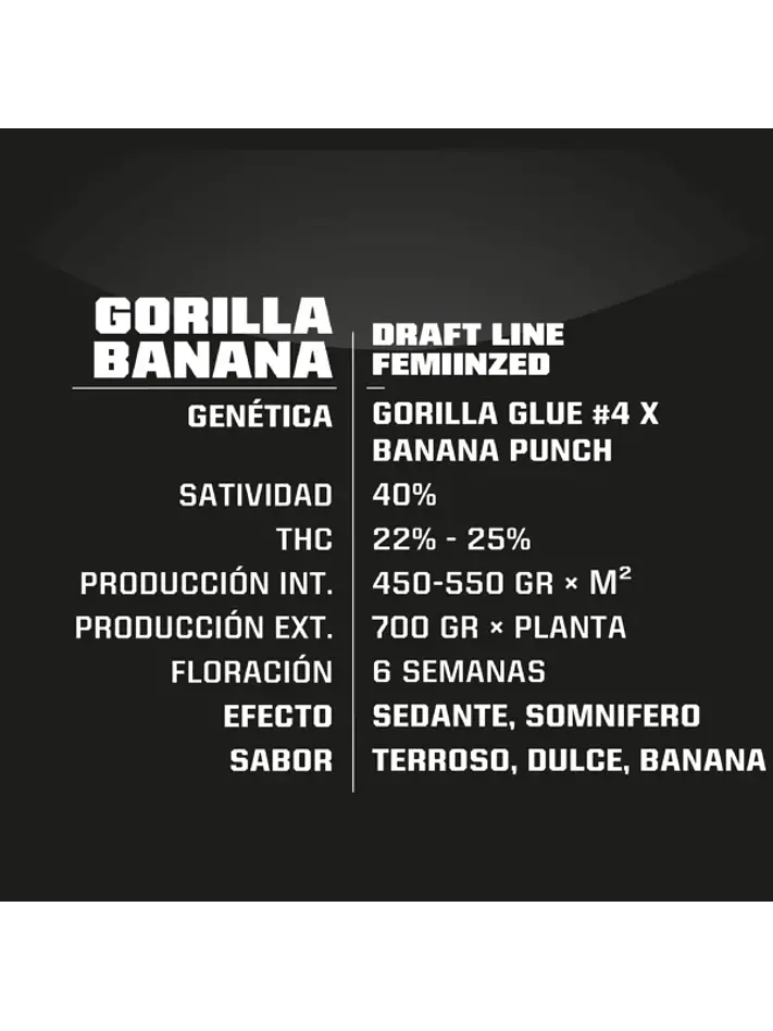 Gorilla Banana Fem -Bsf (X7/X4/X2)  3
