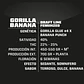 Gorilla Banana Fem -Bsf (X7/X4/X2)  - Miniatura 3