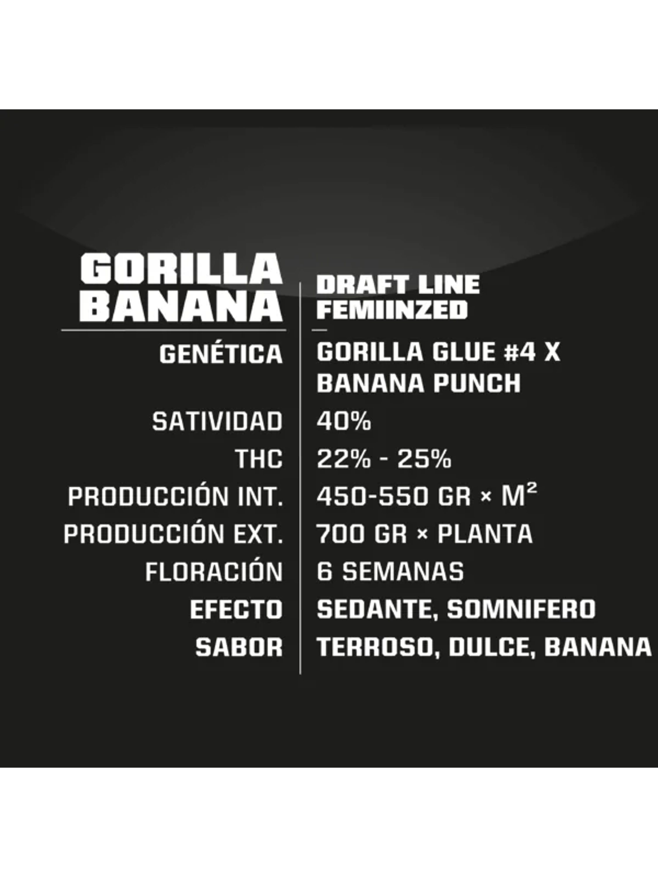 Gorilla Banana Fem -Bsf (X7/X4/X2)  4