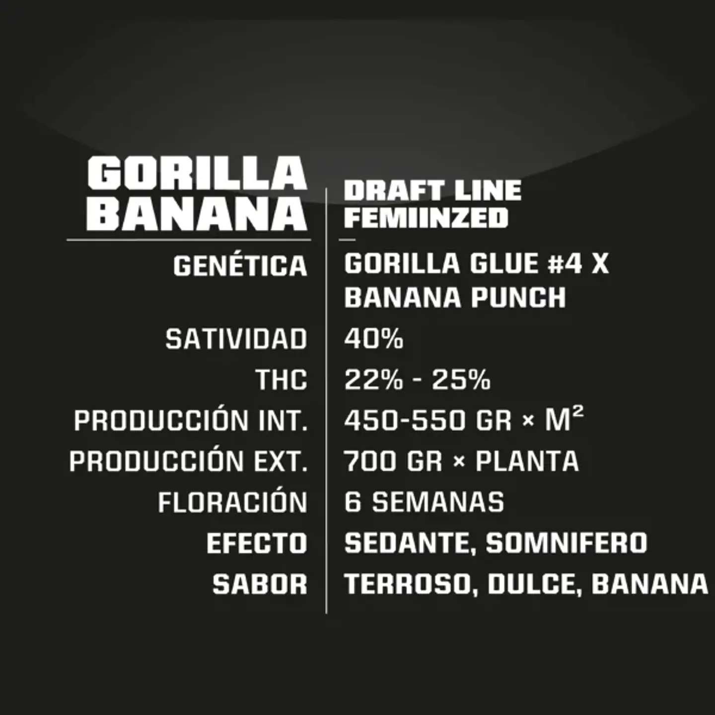 Gorilla Banana Fem (X2 / X4 / X7 / X12) -BSF 4