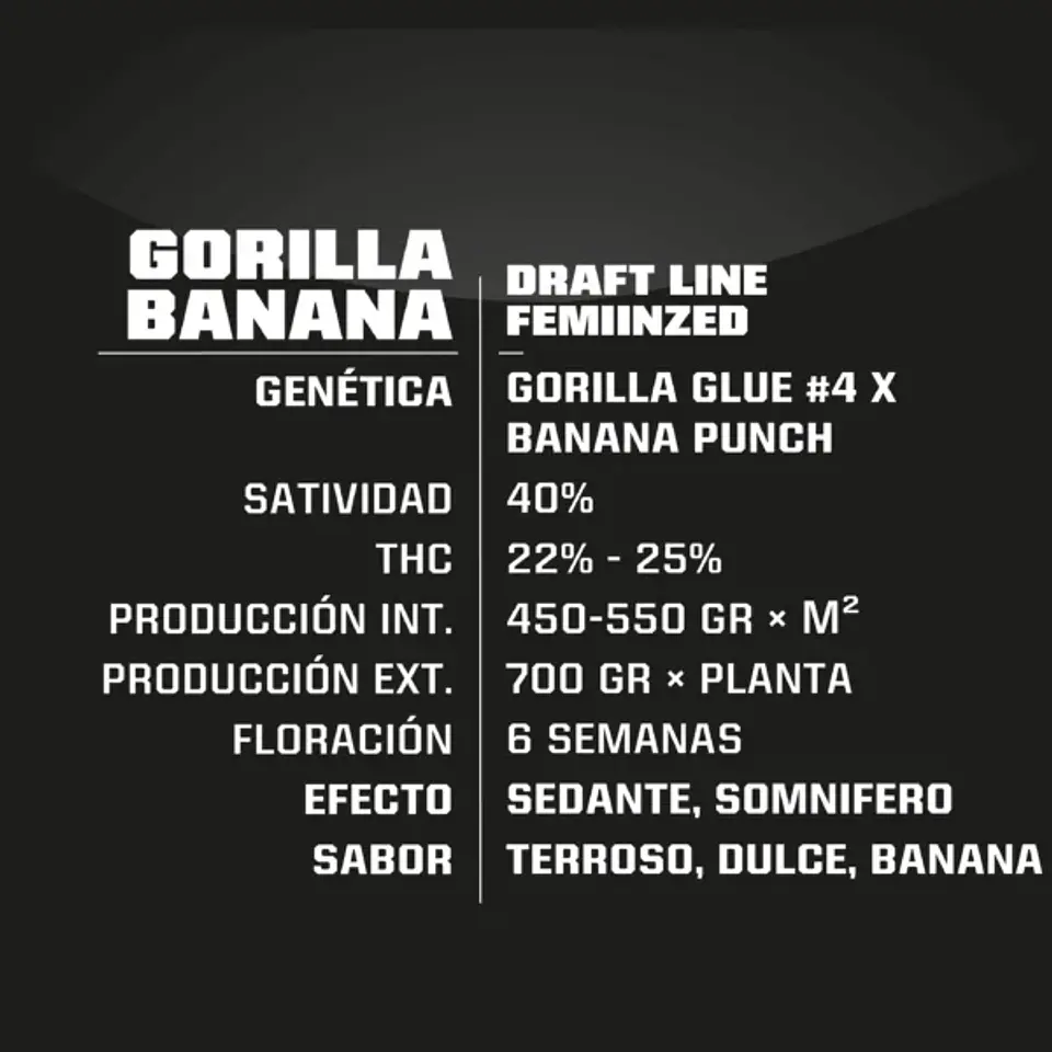 Gorilla Banana Fem (X2 / X4 / X7 / X12) -BSF 4