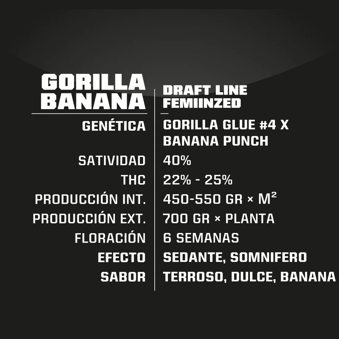 Gorilla Banana Fem -Bsf (X7/X4/X2)  7