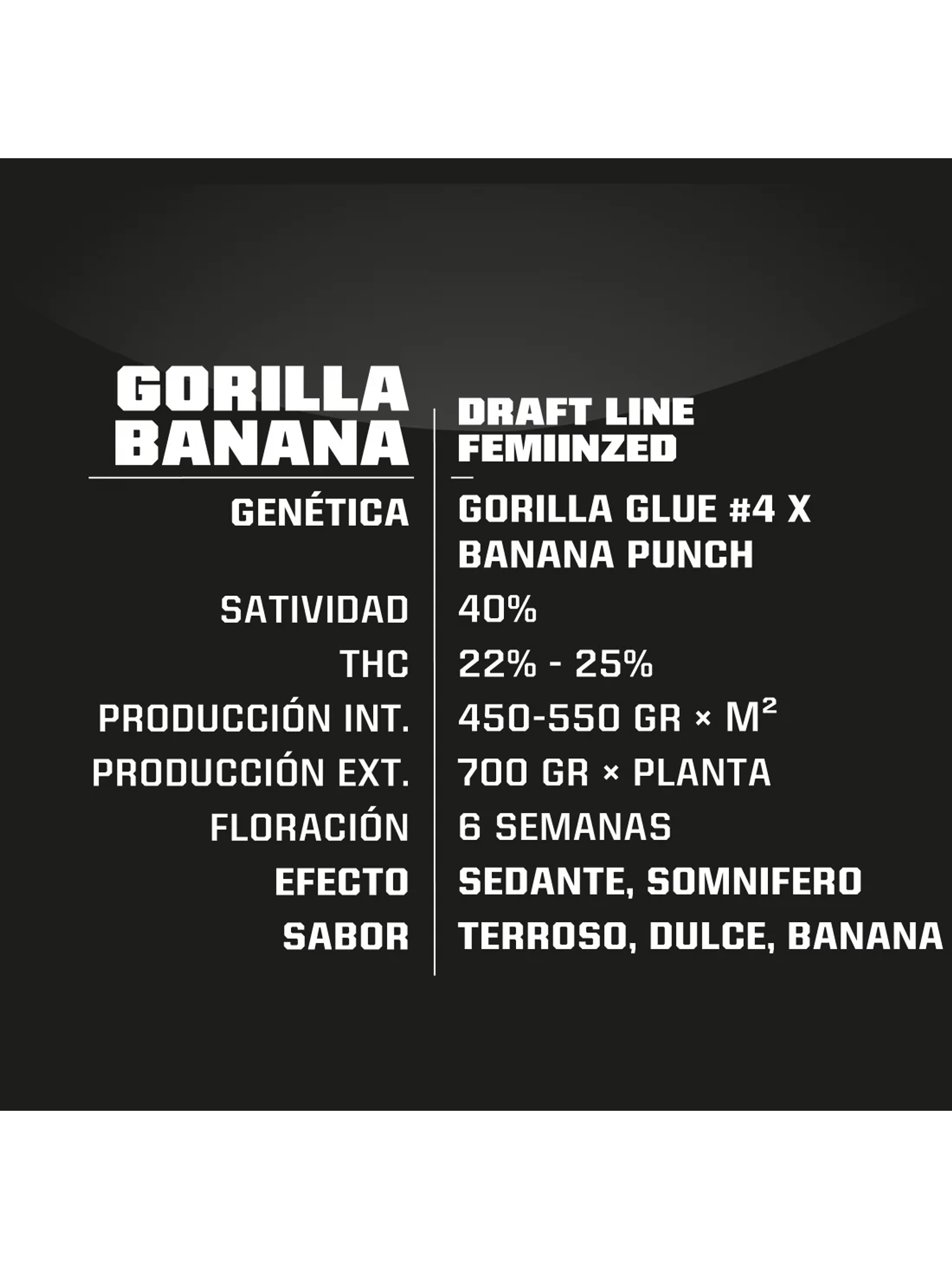Gorilla Banana Fem -Bsf (X7/X4/X2)  7