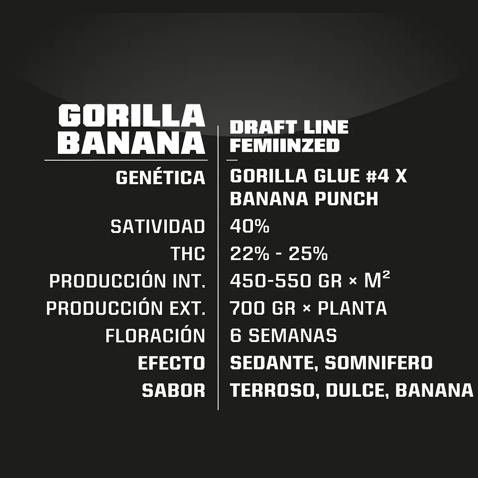 Gorilla Banana Fem (X2 / X4 / X7 / X12) -BSF 7