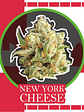 New York Cheese Auto -Delirium Seeds (X4/X2/X1) - Miniatura 2
