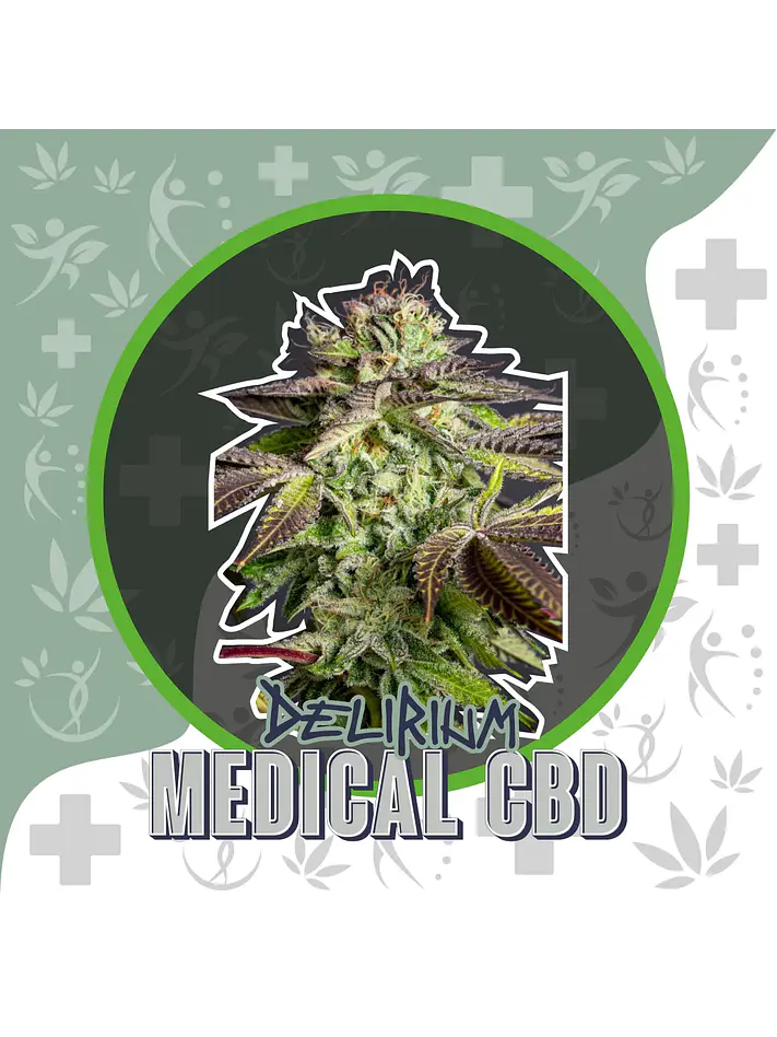 Medical Cbd Fem -Delirium Seeds (X4/X1) 3