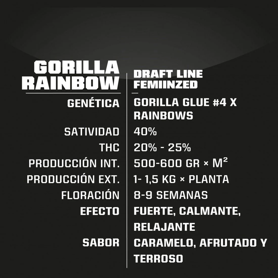 Gorilla Rainbows Fem -Bsf (X7/X4/X2) 3